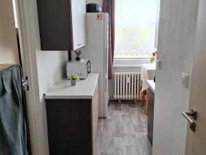 Prodej bytu 1+1, Vamberk, Struha, 34 m2