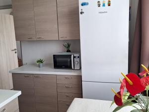 Prodej bytu 1+1, Vamberk, Struha, 34 m2