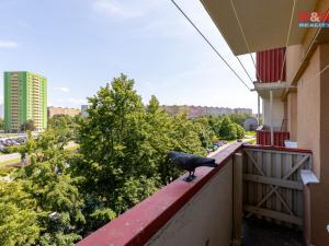 Prodej bytu 2+1, Ostrava - Hrabůvka, Horní, 62 m2