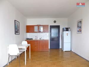 Pronájem bytu 1+kk, Ústí nad Labem - Krásné Březno, Rozcestí, 26 m2