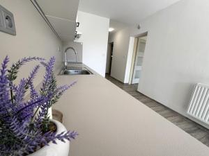 Prodej rodinného domu, Hrušovany u Brna, Havlíčkova, 170 m2