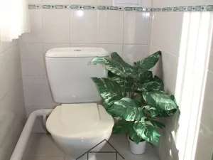 Prodej chalupy, Brozany nad Ohří, 200 m2