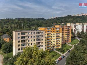 Pronájem bytu 1+kk, Ústí nad Labem - Krásné Březno, V Oblouku, 31 m2