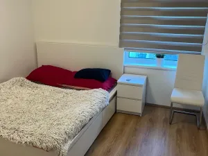Pronájem bytu 4+kk, Liberec, Boženy Němcové, 98 m2