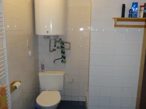 Pronájem chalupy, Velké Hamry, 100 m2