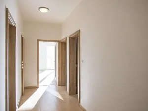 Pronájem bytu 4+kk, Praha - Dejvice, Lindleyova, 100 m2