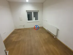 Pronájem výrobních prostor, Horka nad Moravou, 3665 m2