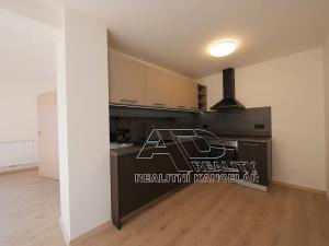 Pronájem atypického bytu, České Budějovice, Fráni Šrámka, 66 m2