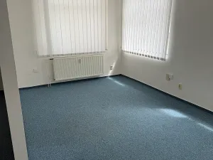Pronájem skladu, Praha - Holešovice, U průhonu, 361 m2