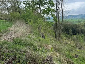 Prodej lesa, Bukovina u Čisté, 12070 m2