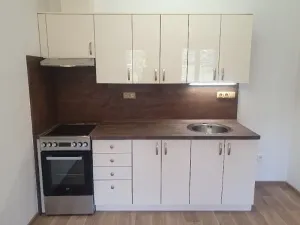 Pronájem bytu 2+kk, Jihlava, F. X. Šaldy, 56 m2