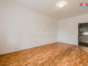 Prodej bytu 1+1, Mělník, Pražská, 45 m2