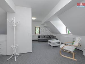 Prodej ubytování, Rokytnice v Orlických horách, 386 m2