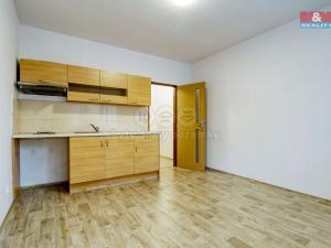 Pronájem bytu 1+kk, Klatovy - Klatovy III, Pod Hůrkou, 20 m2