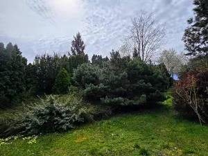 Pronájem rodinného domu, Praha - Braník, U háje, 360 m2