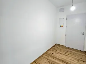 Pronájem bytu 2+kk, Praha - Nusle, Muzikova, 48 m2