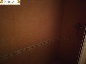 Pronájem bytu 1+kk, Brno, Pražská, 23 m2