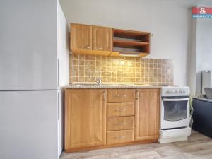 Pronájem bytu 1+kk, Plzeň, Klatovská, 25 m2