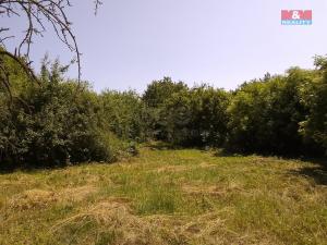 Prodej pozemku pro bydlení, Horka I - Svobodná Ves, 3077 m2