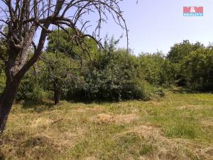 Prodej pozemku pro bydlení, Horka I - Svobodná Ves, 3077 m2