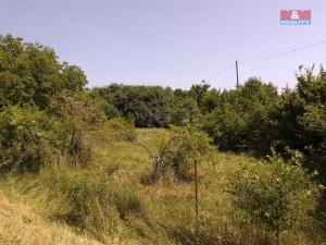 Prodej pozemku pro bydlení, Horka I - Svobodná Ves, 3077 m2