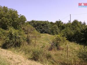 Prodej pozemku pro bydlení, Horka I - Svobodná Ves, 3077 m2