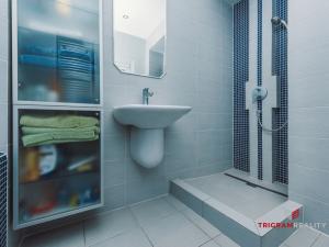 Pronájem bytu 2+1, Hradec Králové, Eliščino nábřeží, 80 m2