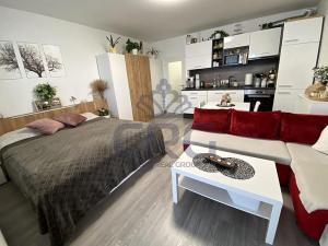 Pronájem bytu 1+kk, Slavkov u Brna, 39 m2