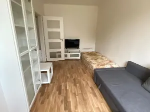 Pronájem bytu 1+1, Praha - Žižkov, Pod lipami, 38 m2