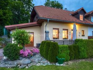 Prodej rodinného domu, Přední Výtoň, 164 m2