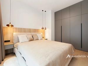 Pronájem bytu 2+kk, Brno, Leitnerova, 54 m2