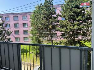 Pronájem bytu 1+1, Jílové - Kamenná, Okružní, 34 m2