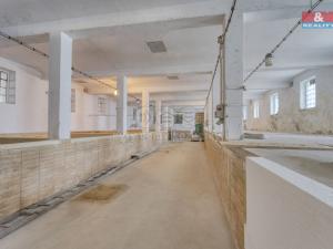 Prodej obchodního prostoru, Starý Kolín, Za poštou, 3398 m2