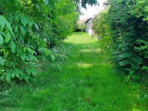 Prodej zahrady, Loučany, 1622 m2