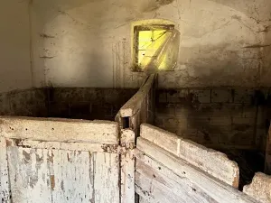 Prodej zemědělské usedlosti, Chornice, 190 m2