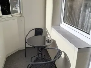 Prodej bytu 1+1, Brno, Glinkova, 33 m2
