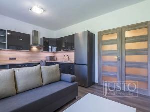 Pronájem bytu 2+kk, Staré Město, Mahenova, 45 m2