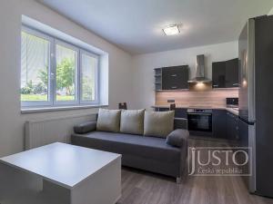Pronájem bytu 2+kk, Staré Město, Mahenova, 45 m2