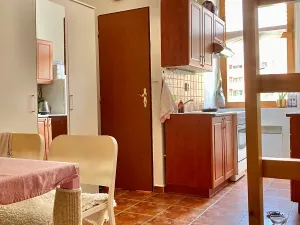 Pronájem bytu 1+1, Praha - Košíře, Vrchlického, 30 m2