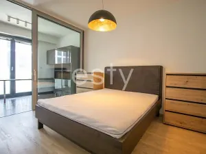 Pronájem bytu 2+kk, Praha - Žižkov, Olšanská, 52 m2