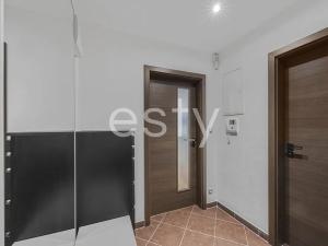 Pronájem bytu 2+kk, Praha - Žižkov, Olšanská, 52 m2