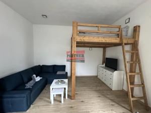 Pronájem bytu 1+1, Bechyně, Široká, 36 m2