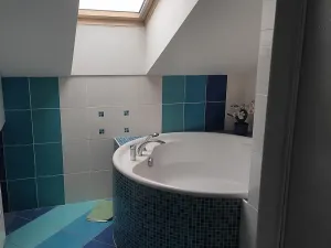 Dražba bytu 2+kk, Olomouc, Palackého, 102 m2