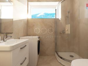 Prodej bytu 2+kk, Králíky - Červený Potok, 39 m2