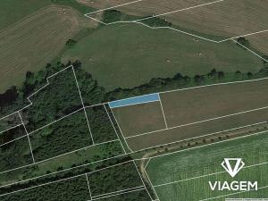 Prodej pole, Velký Vřešťov, 345 m2
