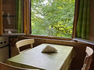 Prodej chaty, Plešnice, 36 m2
