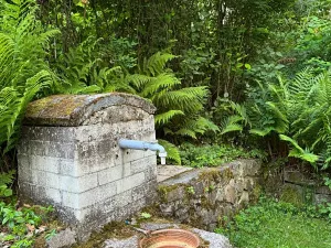 Prodej chaty, Plešnice, 36 m2