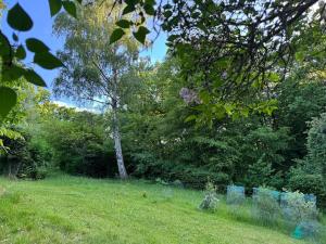 Prodej chaty, Plešnice, 36 m2