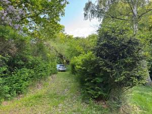 Prodej chaty, Plešnice, 36 m2