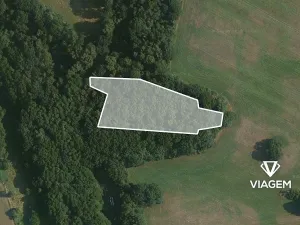 Prodej podílu lesa, Kamenice, 1546 m2